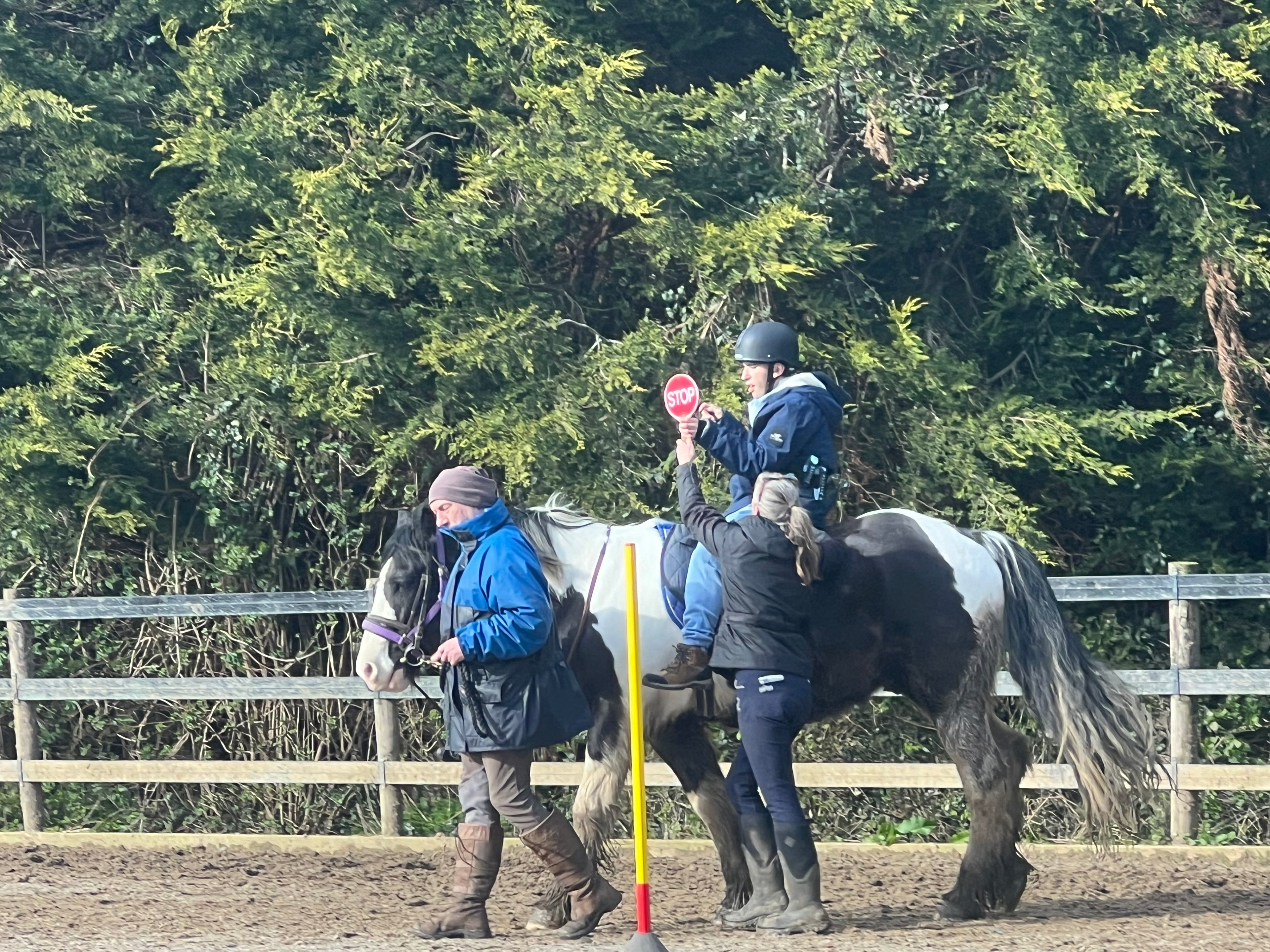 Therapeutic Horse Riding - Individual Session