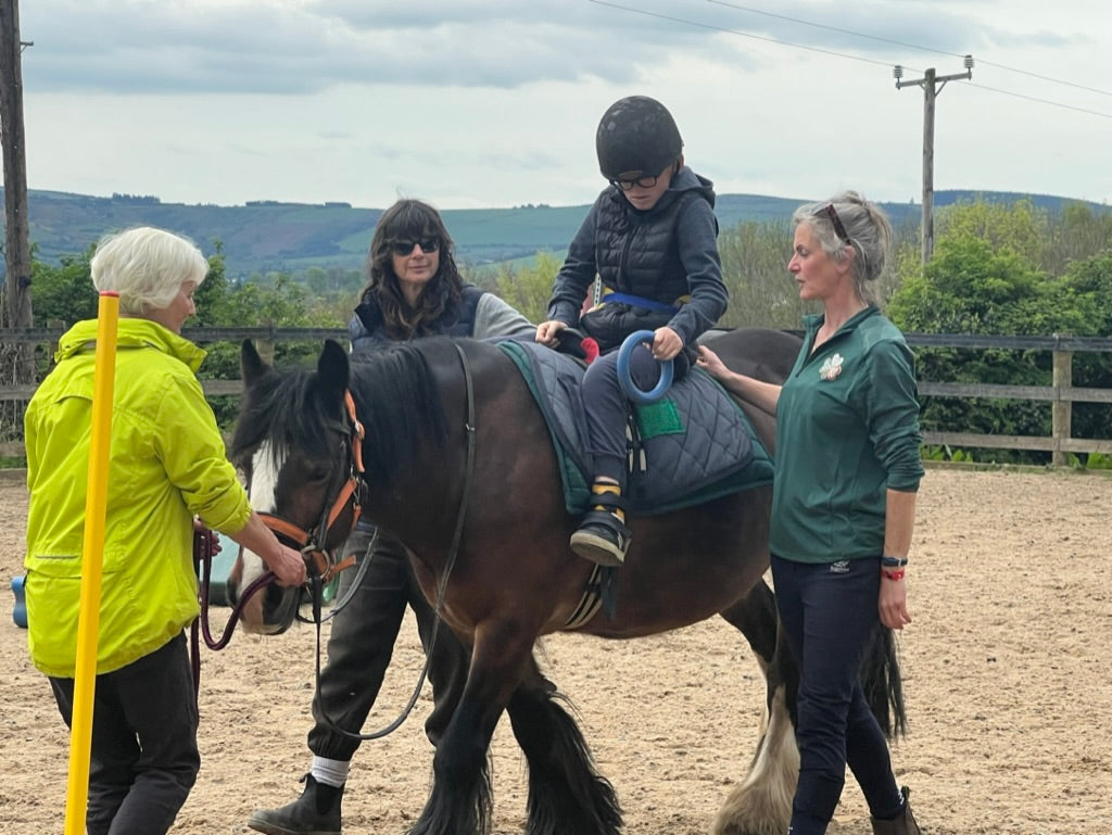 Equine Therapy